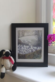 Wind In The Willows Old Prints, 12 of 12
