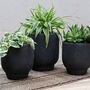 Black 'Ivon' Planters, thumbnail 2 of 2