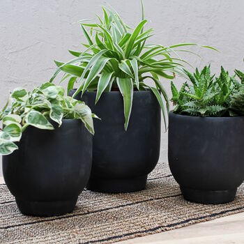 Black 'Ivon' Planters, 2 of 2