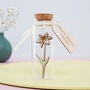May Birth Flower Message Bottle Birthday Gift, thumbnail 1 of 12