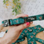 Happy Highland Cow Dog Collar, thumbnail 3 of 9