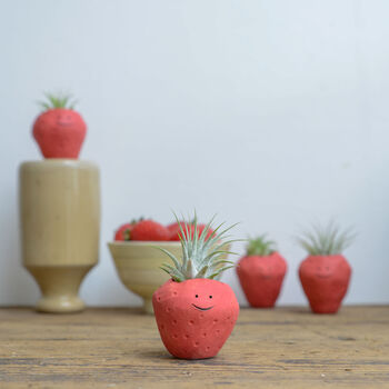 Strawberry Air Plant Holder Pot, 6 of 8