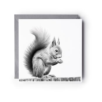 Red Squirrel Woodland Greetings Greeting Card, 2 of 5