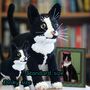 Personalised Crocheted Cuddly Toy Of Your Cat, thumbnail 10 of 12