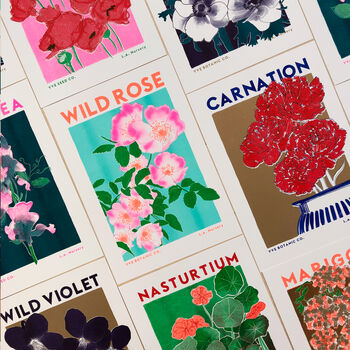 Wild Rose Floral Illustration Riso Print, 9 of 9