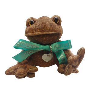 Personalised Toad Frog Soft Plush Toy, Gift Boxed, 6 of 6