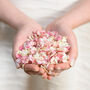 50 Handfuls Of Biodegradable Wedding Confetti, thumbnail 7 of 12