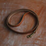 Personalised Leather Dog Lead, thumbnail 3 of 11