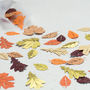Autumn Leaves Table Confetti, thumbnail 2 of 7