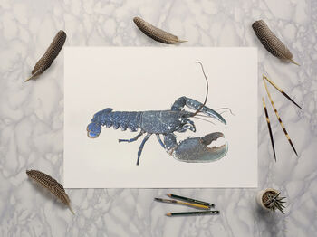 European Lobster Giclée Art Print, 2 of 3