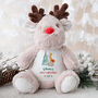 Personalised My First Christmas Reindeer Toy With Name, thumbnail 1 of 2