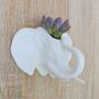 Elephant Wall Hanging Planter With Choice Of Plant, thumbnail 3 of 5