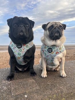 Iced Doughnuts And Coffee Puppy Or Dog Harness Set Xs L, 12 of 12