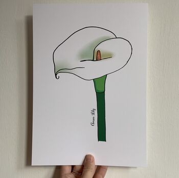 Arum Lily Print, 4 of 6
