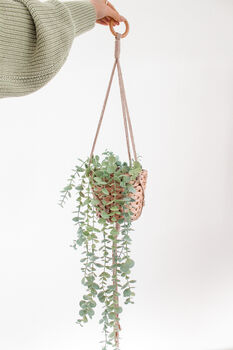 Make Your Own Macrame Plant Hangers Craft Kit, 5 of 9