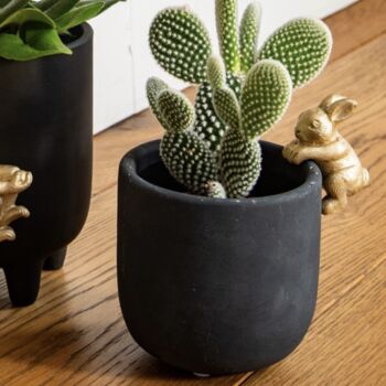 Golden Rabbit Black Planter, 3 of 4