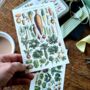 Nostalgic Floral Botanical Postcards In A Tin | 20 Pcs, thumbnail 5 of 12