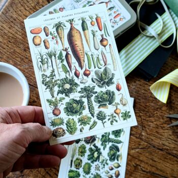 Nostalgic Floral Botanical Postcards In A Tin | 20 Pcs, 5 of 12