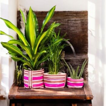 Eco Striped Recycled Plant Holder, 6 of 7