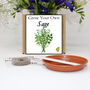 Gardening Gift. Grow Your Own Herbs. Sage Seeds Kit, thumbnail 1 of 4