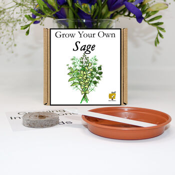 Gardening Gift. Grow Your Own Herbs. Sage Seeds Kit, 2 of 6