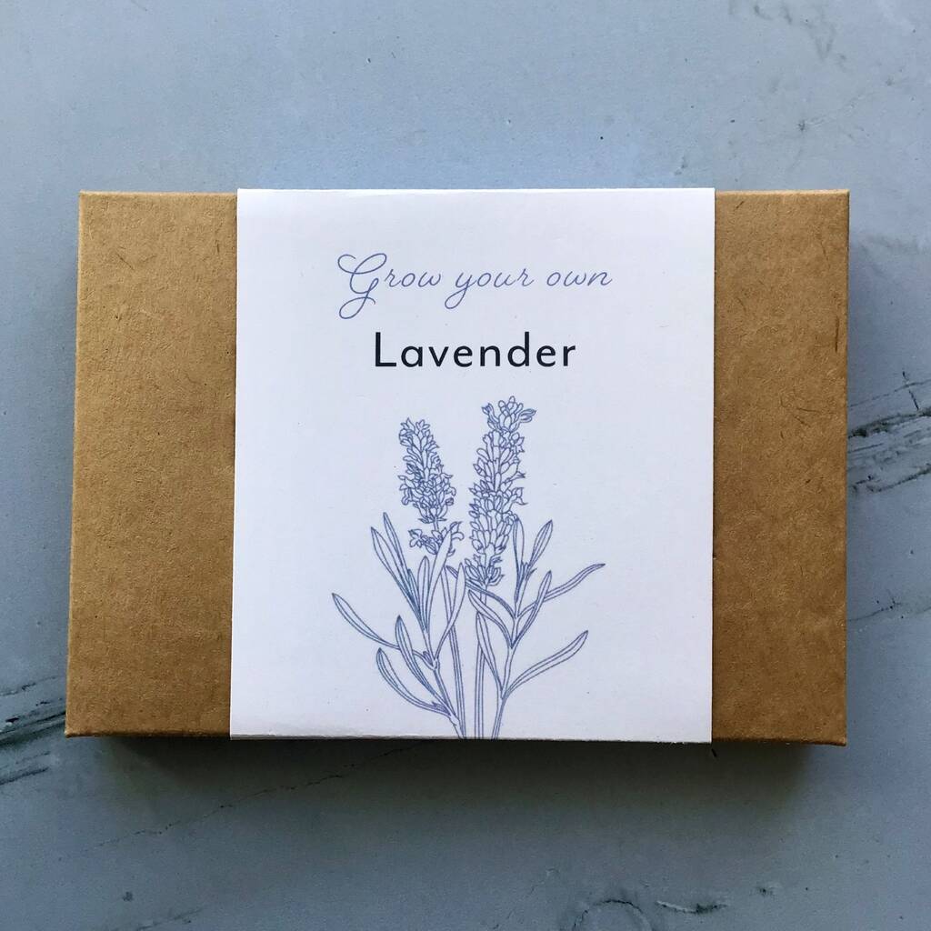 Grow Your Own Lavender, 1 of 5