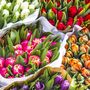 Fresh Mixed Tulips Bouquet, thumbnail 3 of 4
