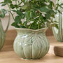 Kineton Sage Green Ceramic Collection, thumbnail 4 of 4