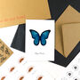 Blue Morpho Butterfly A6 Greetings Cards, thumbnail 4 of 7