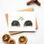 Mistletoe Tortoise Christmas Cards, thumbnail 4 of 10