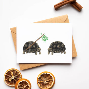 Mistletoe Tortoise Christmas Cards, 4 of 10