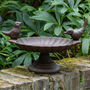 Iron Garden Bird Dish, thumbnail 2 of 7