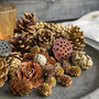Natural Assortment Of Pine Cones Golden Sparkle, thumbnail 1 of 6