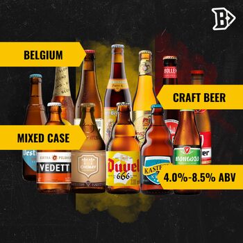 Belgian Breweries Craft Beer Mixed Beer Case Twelve Beers, 2 of 6