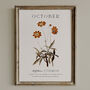 Birth Flower Wall Print 'Cosmos' For October, thumbnail 8 of 9