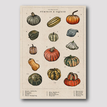 Pumpkin And Squash Artwork Print, 2 of 8