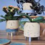 Personalised Smiley Face Stoneware Planter Fish Design, thumbnail 1 of 9