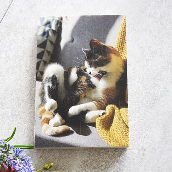 Pet Wooden Free Standing Photo Block, 5 of 6