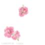 Pack 12 Cerise Larkspur Original Botanical Wedding Place Name Cards Double Sided, thumbnail 2 of 6