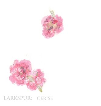 Pack 12 Cerise Larkspur Original Botanical Wedding Place Name Cards Double Sided, 2 of 6