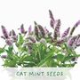 Cat Lovers Eco Grow Your Own Plant Kit, thumbnail 3 of 5