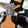 Blue Pooch Pack Harness, thumbnail 2 of 6