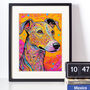 Colourful Whippet Dog Portrait Illustration Print, thumbnail 1 of 3