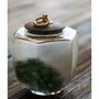 Glass Tealeaf Container, thumbnail 2 of 5