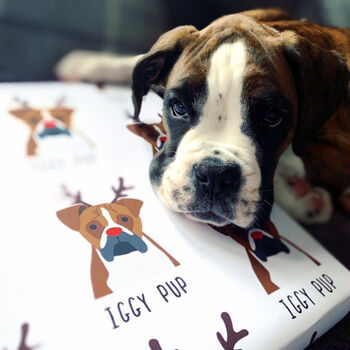 Personalised Christmas Dog Wrapping Paper, Large Sheets, 5 of 12