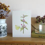 Red Dead Nettle And Butterfly Greeting's Card, thumbnail 2 of 4