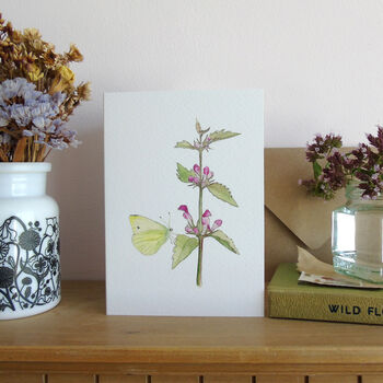 Red Dead Nettle And Butterfly Greeting's Card, 2 of 4