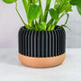 Carbon Linear Planter, thumbnail 1 of 4