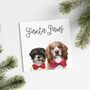 Two Or More Pet Personalised 'Christmas Bow' Card, thumbnail 1 of 8