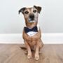Personalised Bow Tie Dog Wedding Bandana, thumbnail 1 of 10